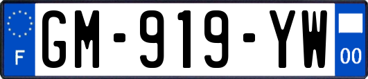 GM-919-YW