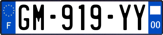GM-919-YY