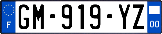 GM-919-YZ