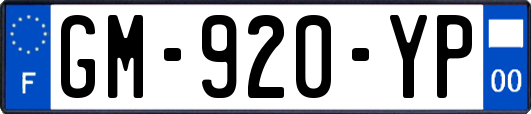 GM-920-YP