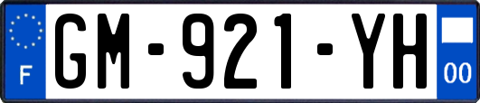 GM-921-YH