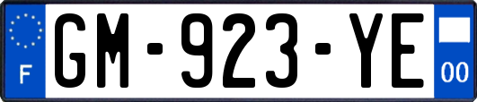 GM-923-YE