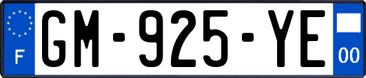 GM-925-YE