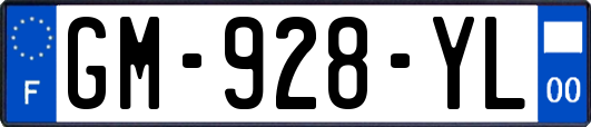 GM-928-YL