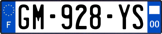 GM-928-YS