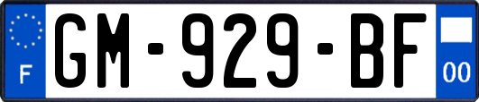 GM-929-BF