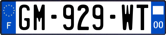 GM-929-WT