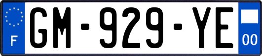 GM-929-YE