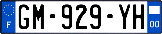 GM-929-YH