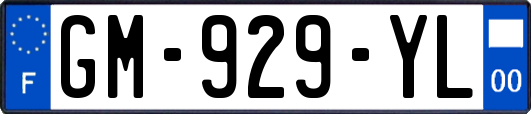 GM-929-YL