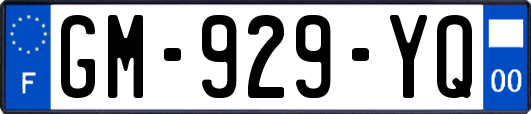 GM-929-YQ