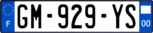 GM-929-YS