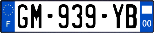 GM-939-YB