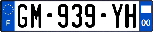 GM-939-YH
