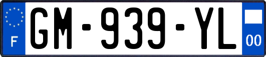 GM-939-YL