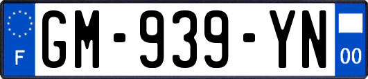 GM-939-YN