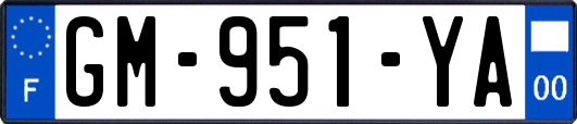 GM-951-YA