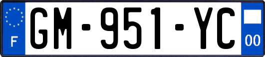 GM-951-YC