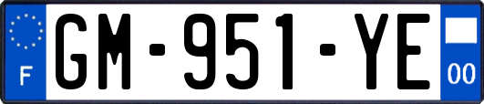 GM-951-YE