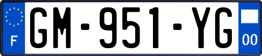 GM-951-YG