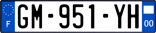 GM-951-YH
