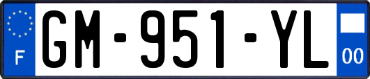GM-951-YL