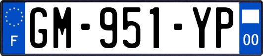 GM-951-YP