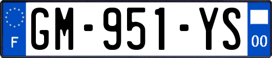 GM-951-YS