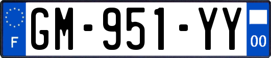GM-951-YY