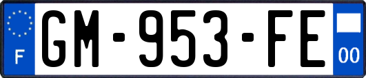 GM-953-FE