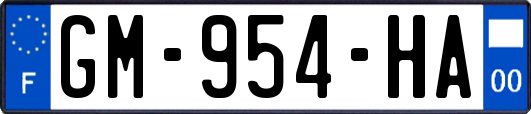 GM-954-HA