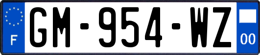 GM-954-WZ