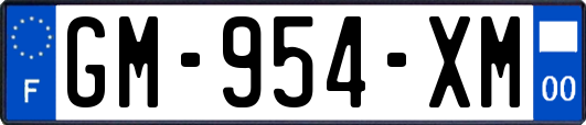 GM-954-XM