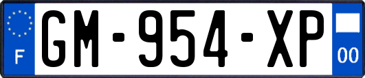 GM-954-XP