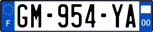 GM-954-YA
