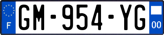 GM-954-YG