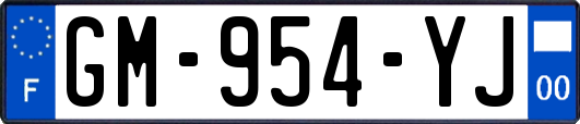 GM-954-YJ