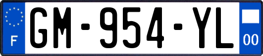 GM-954-YL