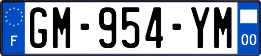 GM-954-YM