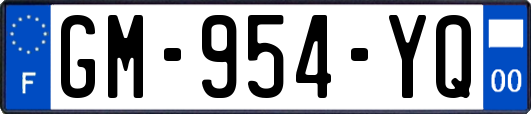 GM-954-YQ