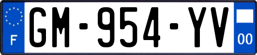 GM-954-YV