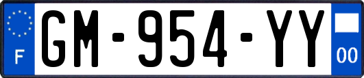 GM-954-YY