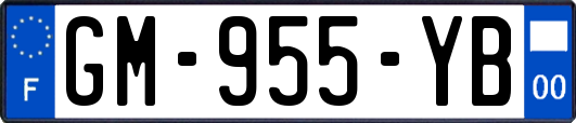 GM-955-YB