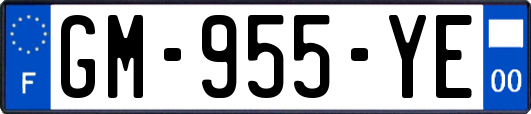 GM-955-YE