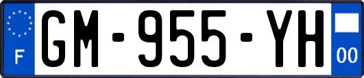 GM-955-YH