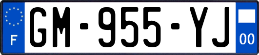 GM-955-YJ