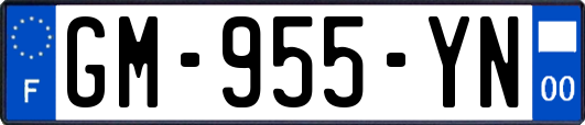 GM-955-YN