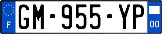 GM-955-YP