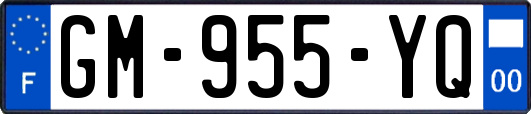 GM-955-YQ