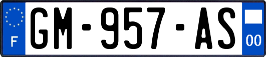GM-957-AS